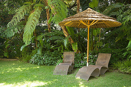 One of many great shade spots