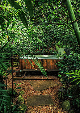 Detached spa tucked in tropical splendor