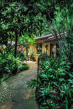 Path from driveway to front entry